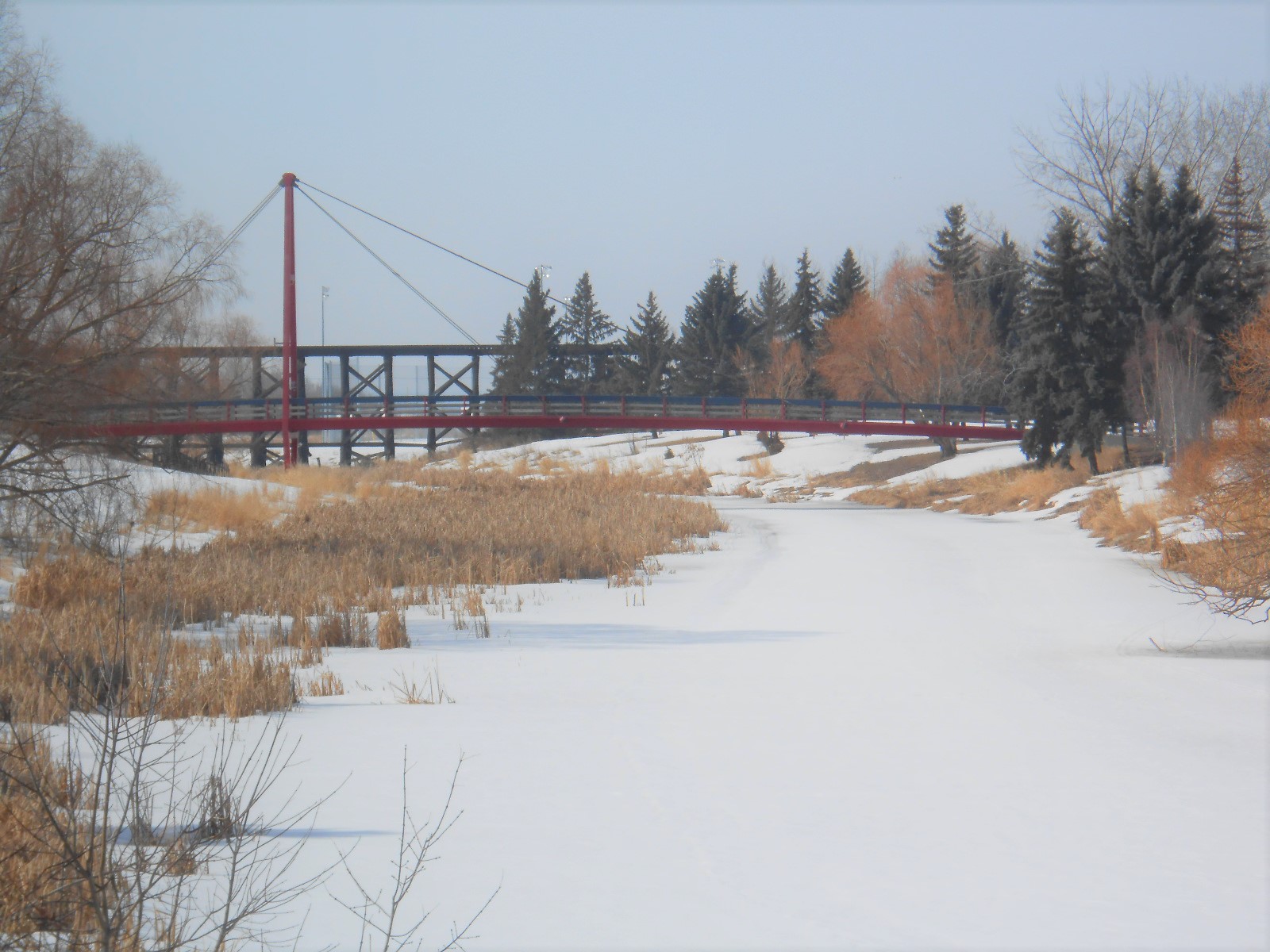 Walking St. Albert trails along the Sturgeon River Waskahegan Trail