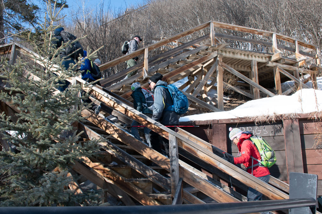Patricia Heights Ravine to Fort Edmonton Waskahegan Trail Association