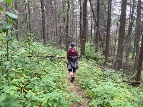 Middle Battle River-2