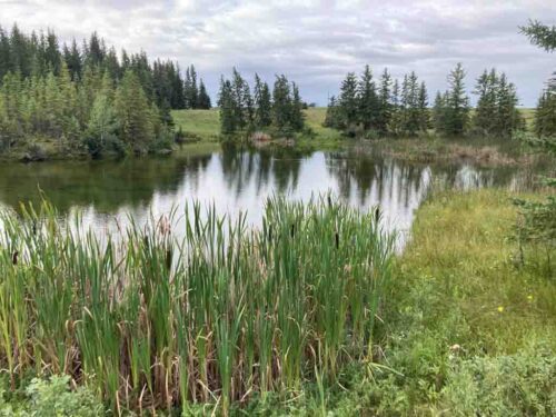 Middle Battle River-3